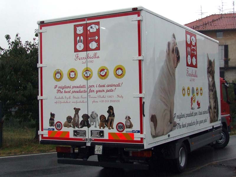 Decorazione camion